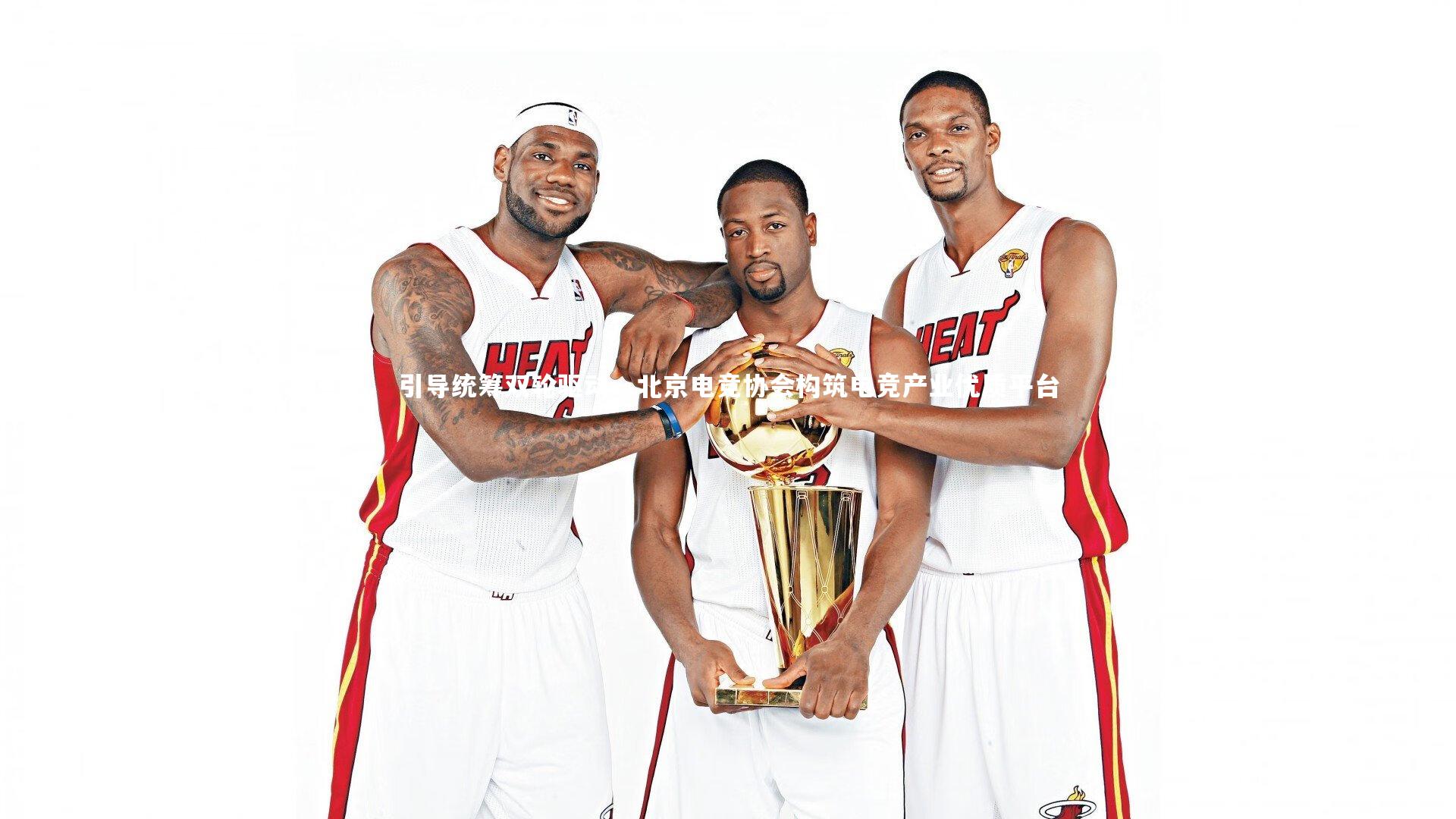 引导统筹双轮驱动，北京电竞协会构筑电竞产业优质平台