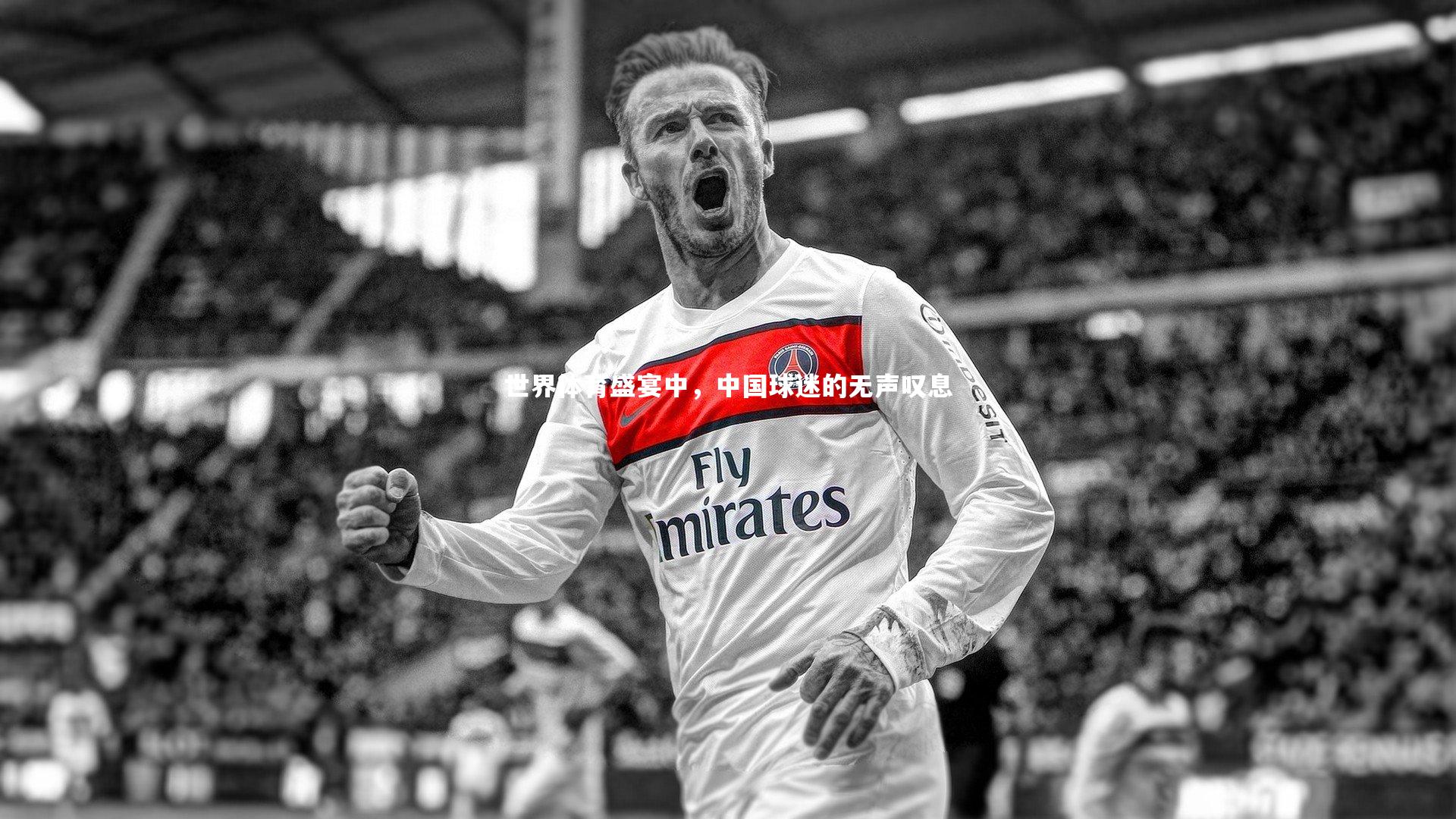 世界体育盛宴中,中国球迷的无声叹息